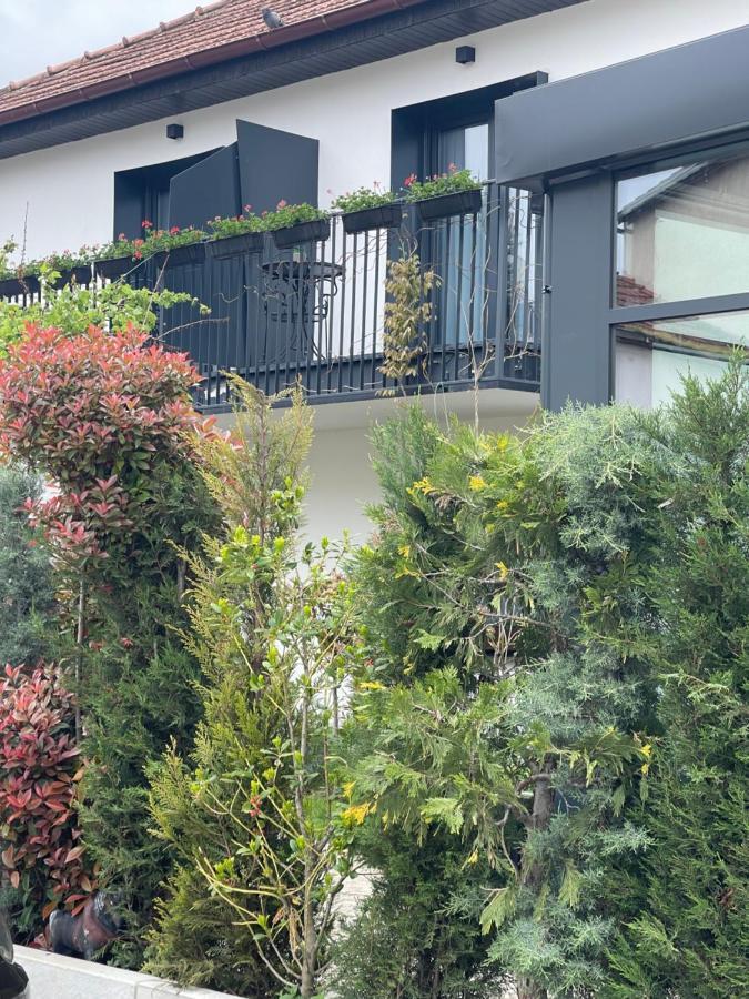 Etnomania Boutique Hotel Priština Exteriér fotografie
